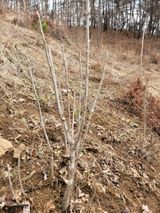 돈디아고(김덕수)님의 작성글 사진