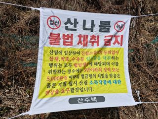 성은모님의 기타작물 · 영농일지 작성글 사진