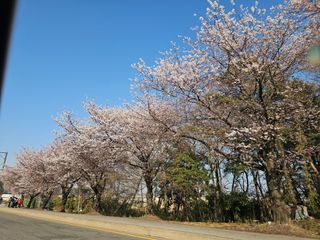 이미옥님의 벼 · 영농일지 작성글 사진