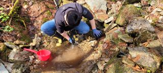 돈디아고(김덕수)님의 작성글 사진