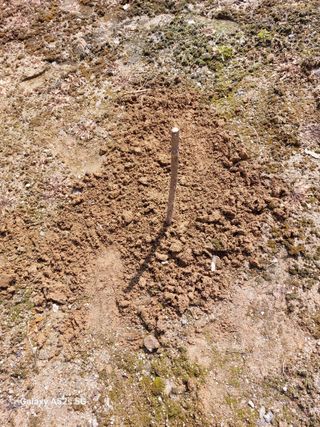 손길준님의 기타작물 · 영농일지 작성글 사진