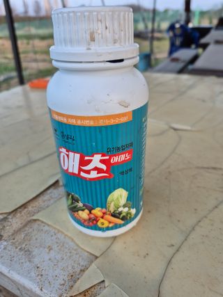 김한수님의 블루베리 · 영농일지 작성글 사진