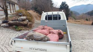 이순기님의 기타작물 · 영농일지 작성글 사진