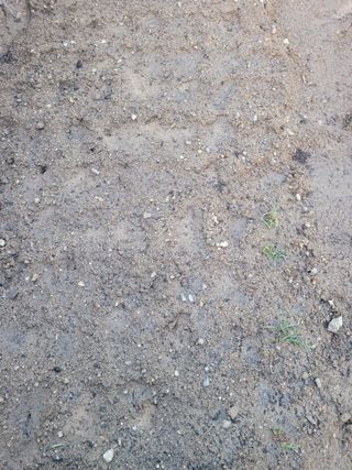 알렉산더님의 양파 · 영농일지 작성글 사진