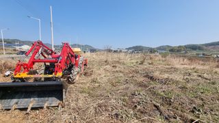 최강K님의 기타작물 · 영농일지 작성글 사진