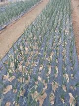 알렉산더님의 작성글 사진