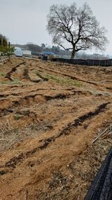 박순덕님의 작성글 사진