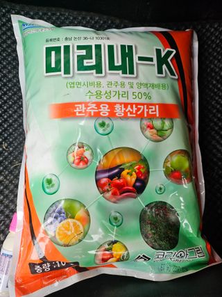 찔레골 양봉 농원님의 마늘 · 영농일지 작성글 사진