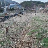 시민농장님의 작성글 사진