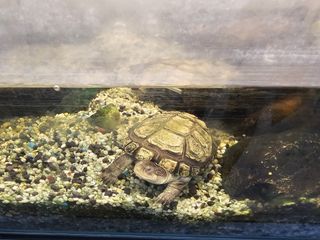 이미옥님의 벼 · 영농일지 작성글 사진