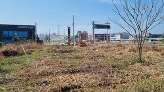 최강K님의 기타작물 · 영농일지 작성글 사진