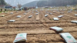 두원리 산막골농부님의 기타작물 · 영농일지 작성글 사진