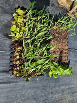 김인수님의 작성글 사진