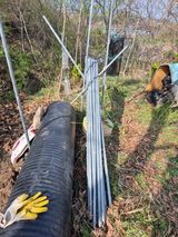 왕대추님의 작성글 사진