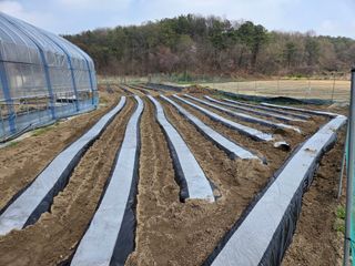 장두학님의 기타작물 · 영농일지 작성글 사진