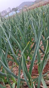 bpjh9173님의 작성글 사진