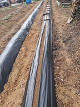 구강회님의 작성글 사진