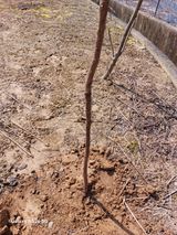 손길준님의 작성글 사진