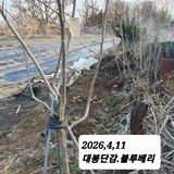 시민농장님의 작성글 사진