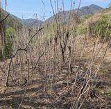 최은호님의 작성글 사진