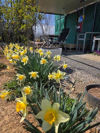 제주농부님의 기타작물 · 영농일지 작성글 사진