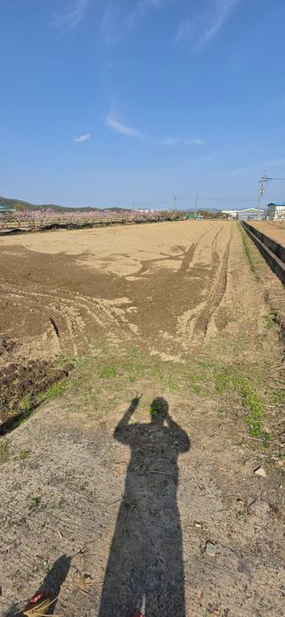 박성준님의 벼 · 영농일지 작성글 사진