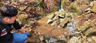 돈디아고(김덕수)님의 기타작물 · 영농일지 작성글 사진