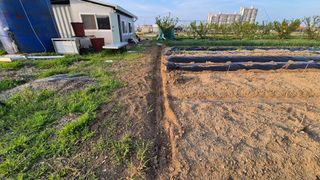 산수화풍님의 기타작물 · 영농일지 작성글 사진