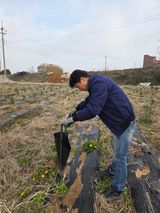 들깨19419님의 작성글 사진