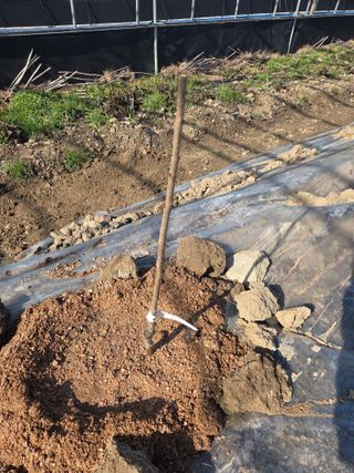 정영석님의 기타작물 · 영농일지 작성글 사진