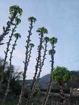 최군환님의 작성글 사진