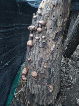 최군환님의 작성글 사진