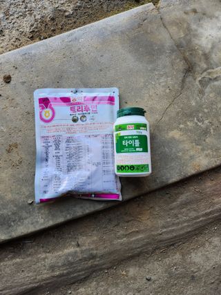 김영암님의 기타작물 · 영농일지 작성글 사진