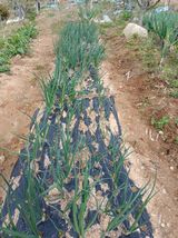 엄기덕님의 작성글 사진