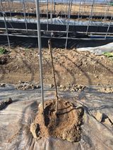 정영석님의 작성글 사진