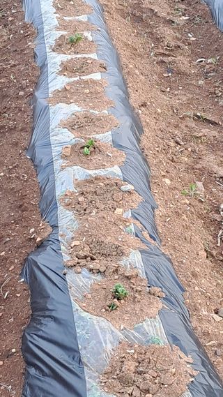 bpjh9173님의 작성글 사진