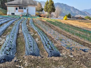 강윤석님의 작성글 사진