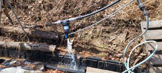 돈디아고(김덕수)님의 기타작물 · 영농일지 작성글 사진