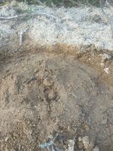 이태규님의 작성글 사진