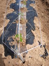 최유순님의 작성글 사진