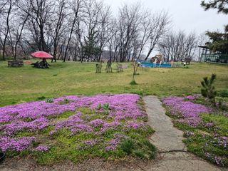 이미옥님의 벼 · 영농일지 작성글 사진