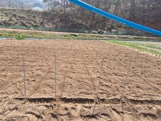 김기탁님의 기타작물 · 영농일지 작성글 사진