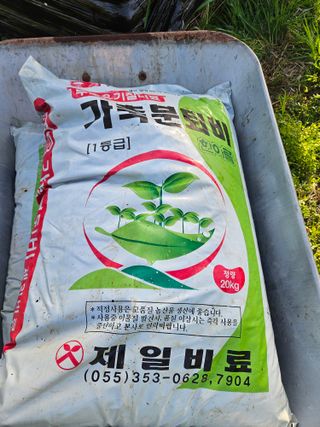 장산님의 기타작물 · 영농일지 작성글 사진