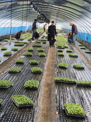 농민님의 기타작물 · 영농일지 작성글 사진