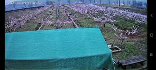 해찬들농원님의 복숭아 · 영농일지 작성글 사진