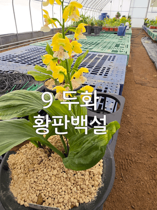 이성규 님의 기타작물 · 영농일지 작성글 사진