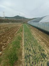 전원수님의 작성글 사진