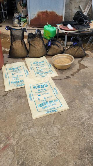 권리를위한투쟁님의 기타작물 · 영농일지 작성글 사진