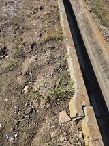 백현호님의 작성글 사진