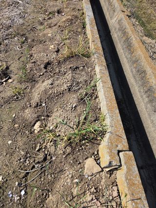 백현호님의 벼 · 영농일지 작성글 사진